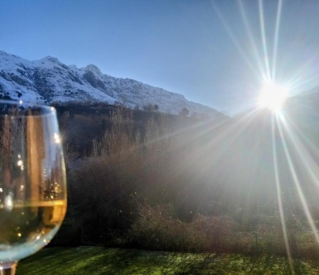 Apartamento Llar Del Cares Arenas De Cabrales Buitenkant foto